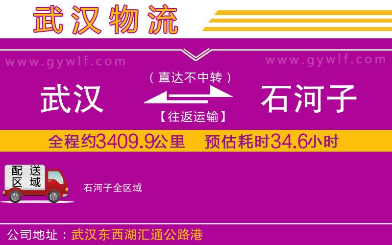 武漢到石河子貨運(yùn)公司