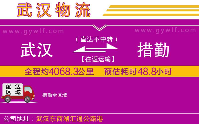武漢到措勤貨運(yùn)公司