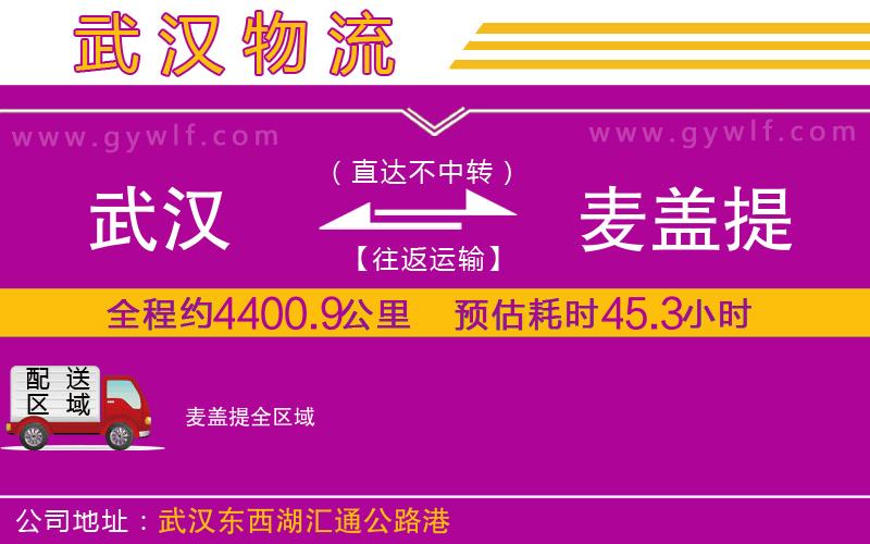 武漢到麥蓋提物流專線