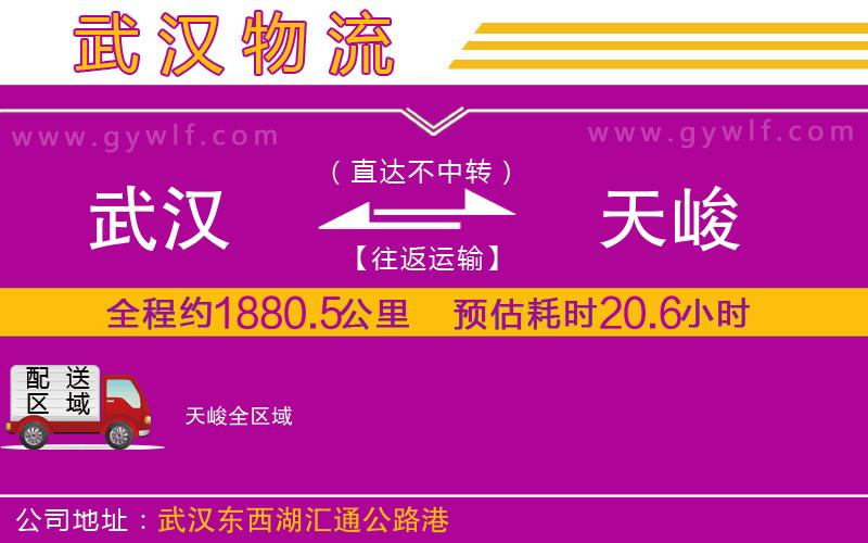 武漢到天峻物流專線