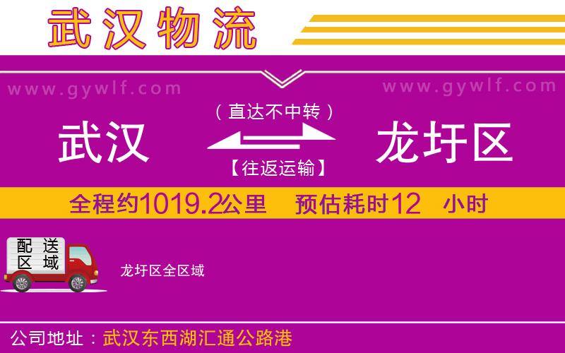 武漢到龍圩區(qū)貨運(yùn)公司