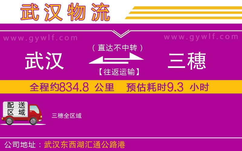 武漢到三穗貨運(yùn)公司