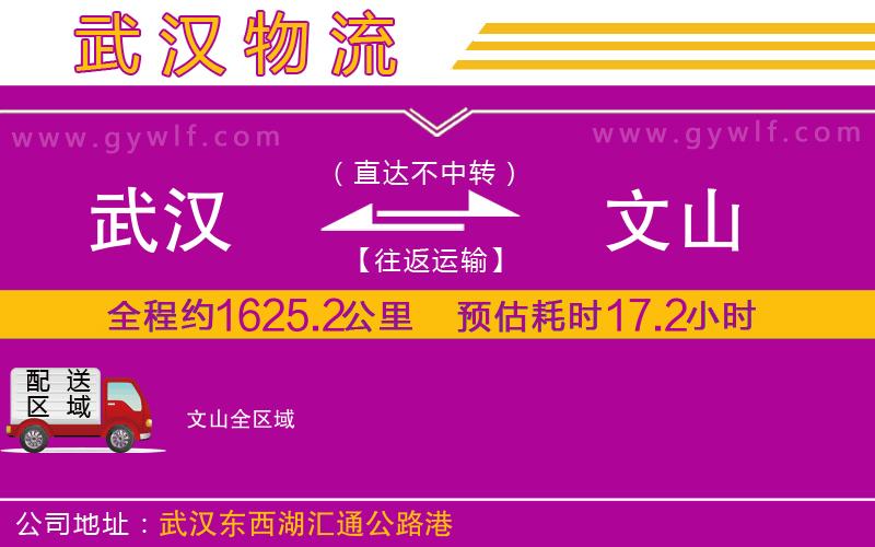 武漢到文山貨運公司