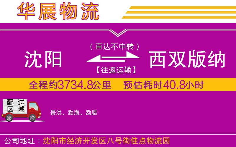 沈陽(yáng)到西雙版納傣族自治州貨運(yùn)公司