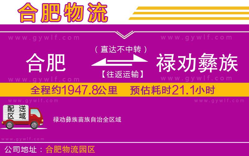 合肥到祿勸彝族苗族自治物流公司