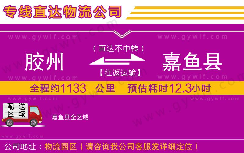 膠州到嘉魚(yú)縣物流公司
