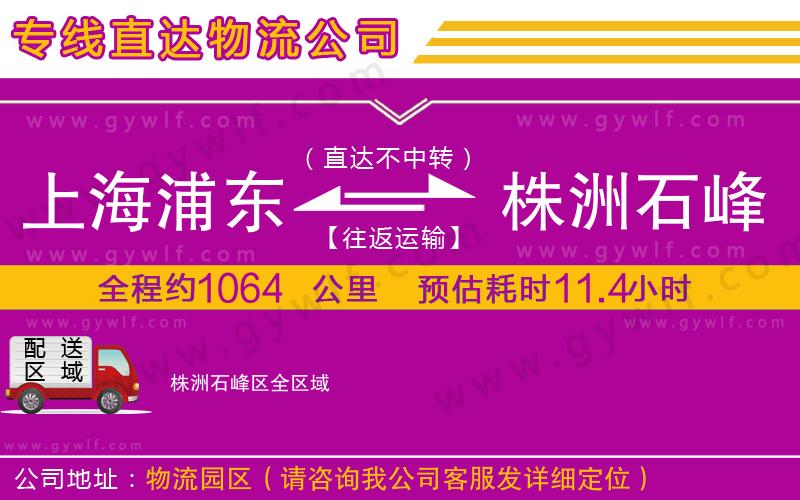 上海浦東區(qū)到株洲石峰區(qū)物流公司