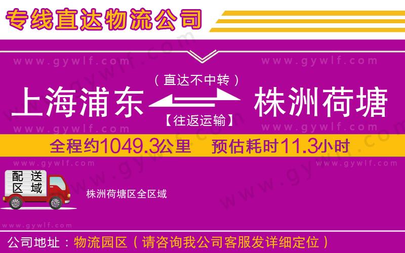 上海浦東區(qū)到株洲荷塘區(qū)物流公司